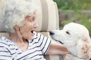 alzheimer's therapy - corpus christi home care
