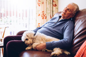 Causes of Fatigue in the Elderly