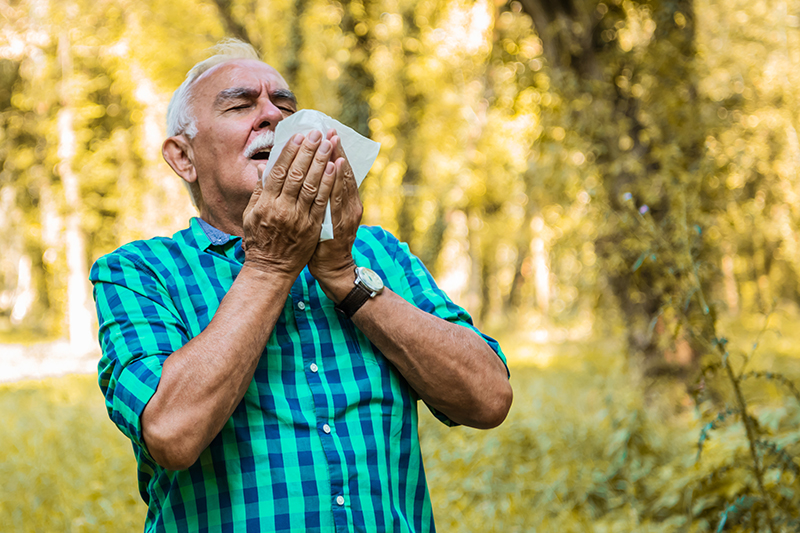 Allergies in older adults are indicated by a senior gentleman standing out in nature and sneezing